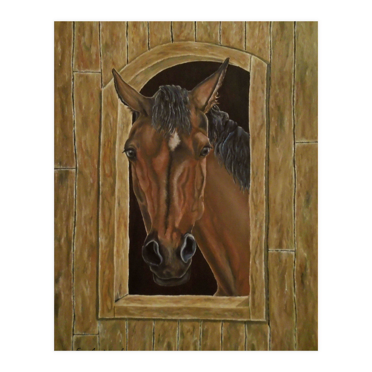 Inquisitive (Print Only)