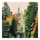 Shades Of Summer (Print Only) thumbnail