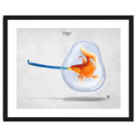 Popper