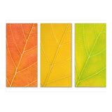 Autumn Leaves (Print Only) thumbnail