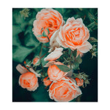 Seasons Blossom (Print Only) thumbnail
