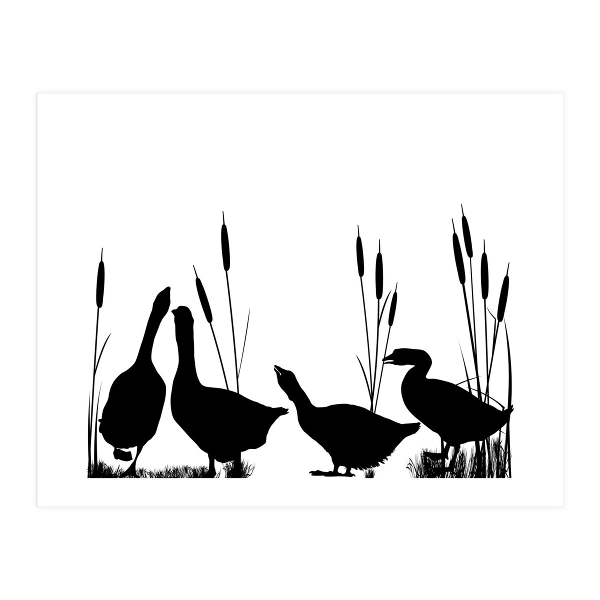 Geeses  (Print Only)