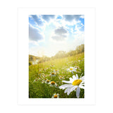 Nature (Print Only) thumbnail