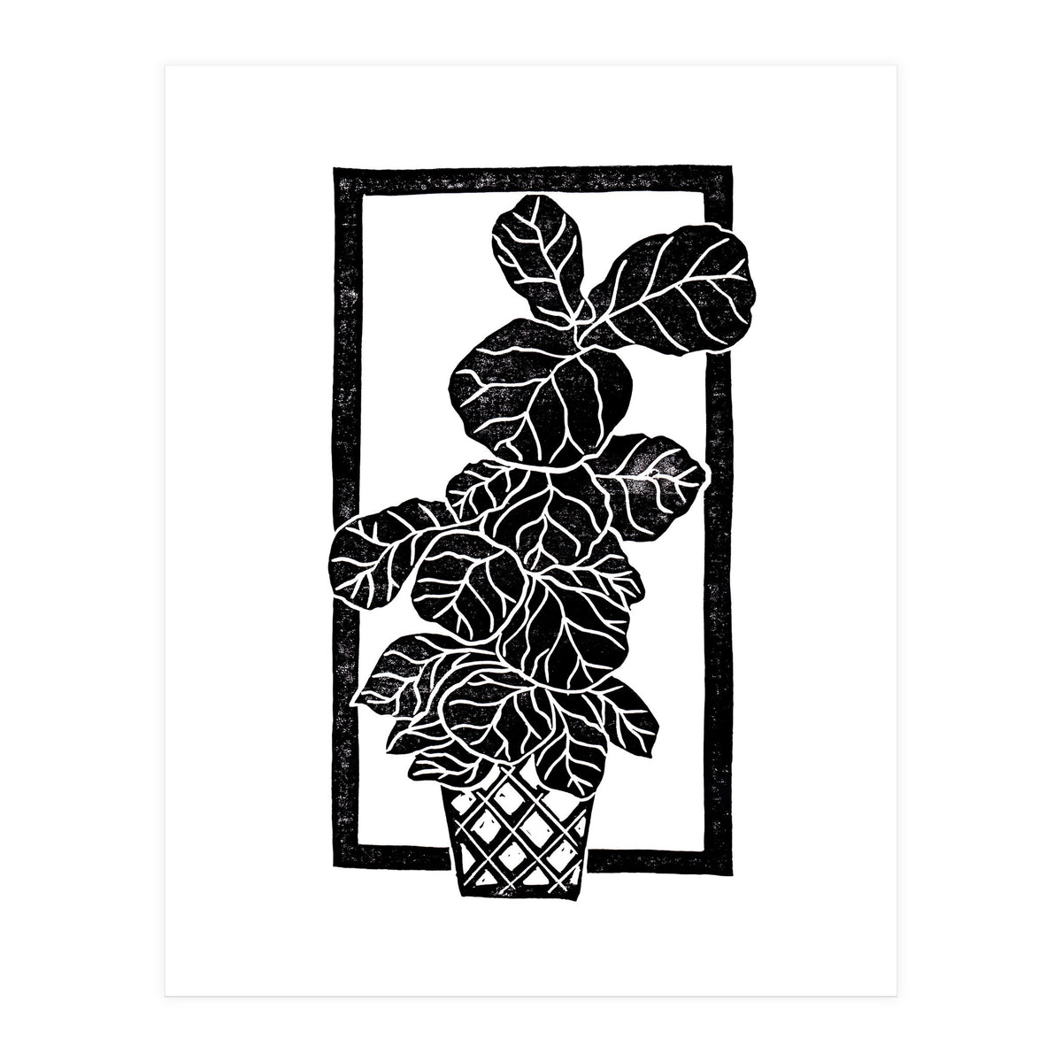 Fiddle Leaf Fig (Print Only)