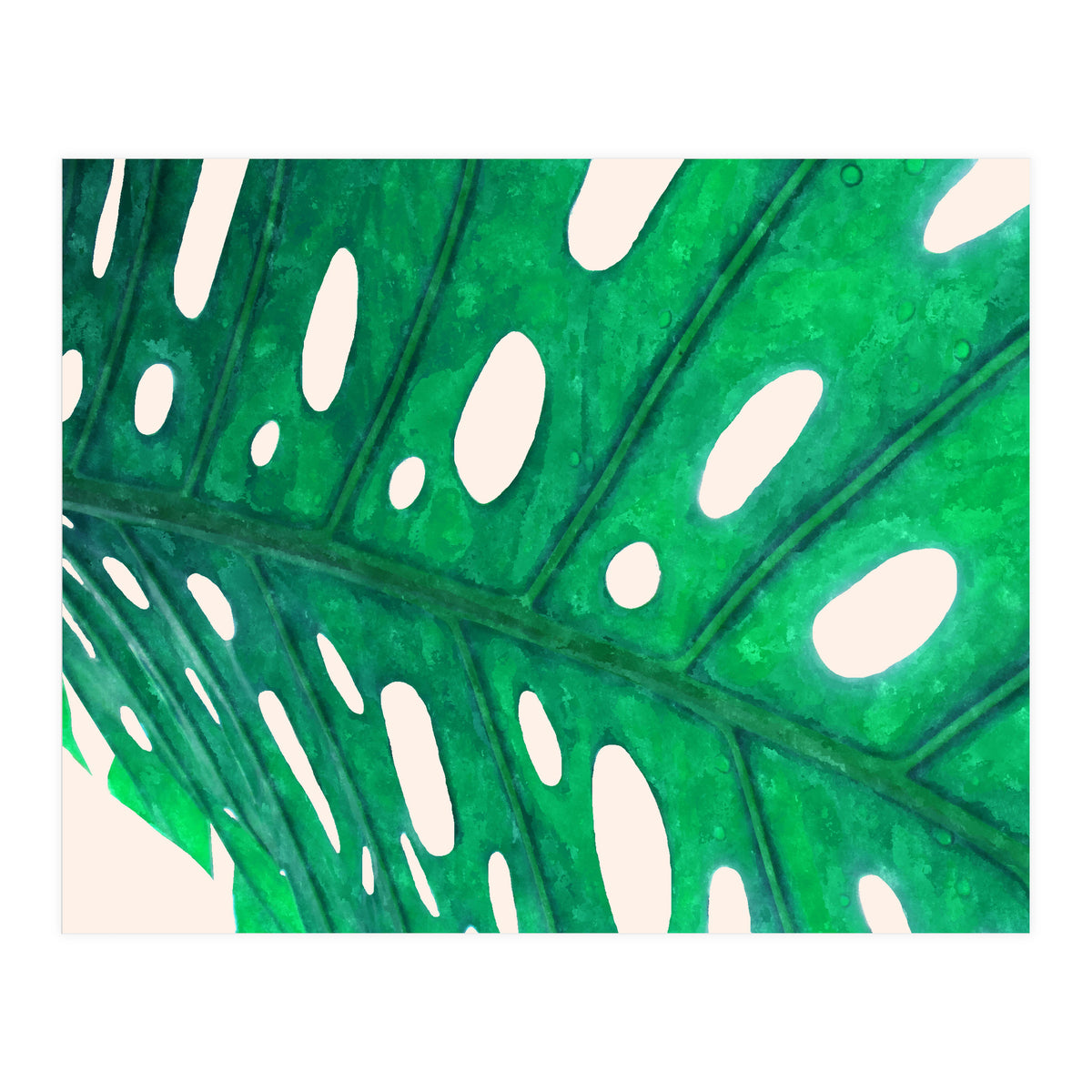 Foliage V2 (Print Only)