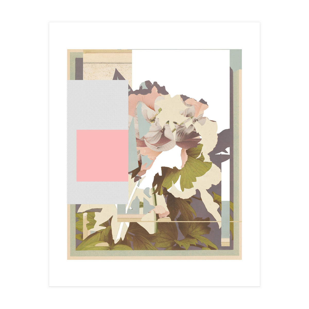 The First Plant · F (Print Only)