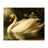 Swan Classic Painting (Print Only) thumbnail