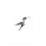 22 (Print Only) thumbnail