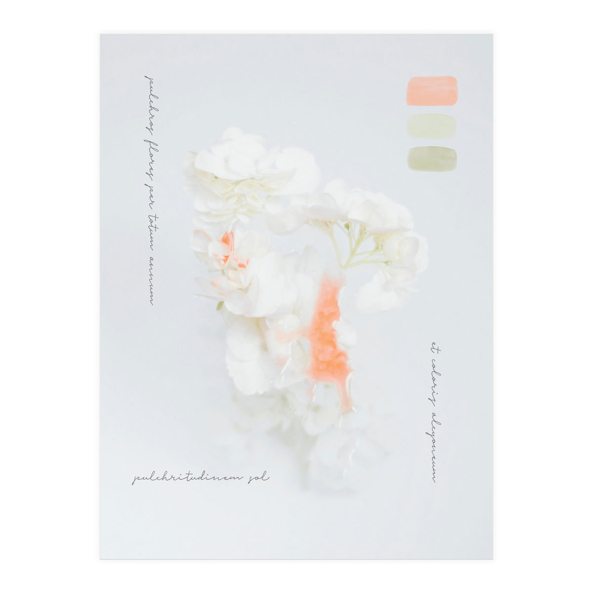 Modern Vintage Botanic (Print Only)