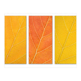 Autumn Leaves (Print Only) thumbnail