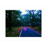 Into The Wild (Print Only) thumbnail