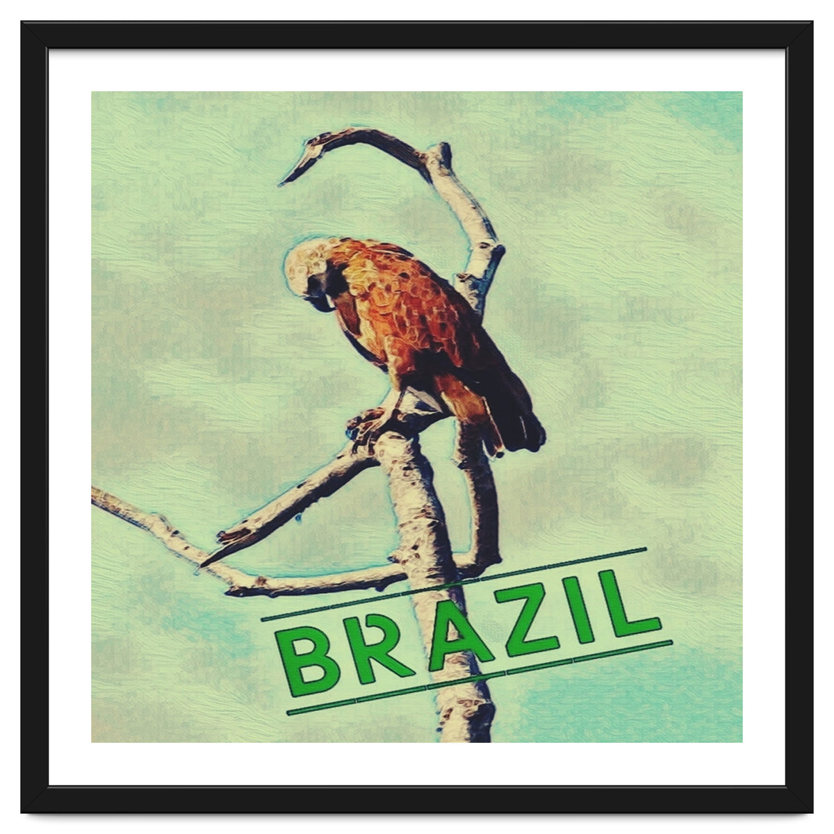 Eagle in Brazil