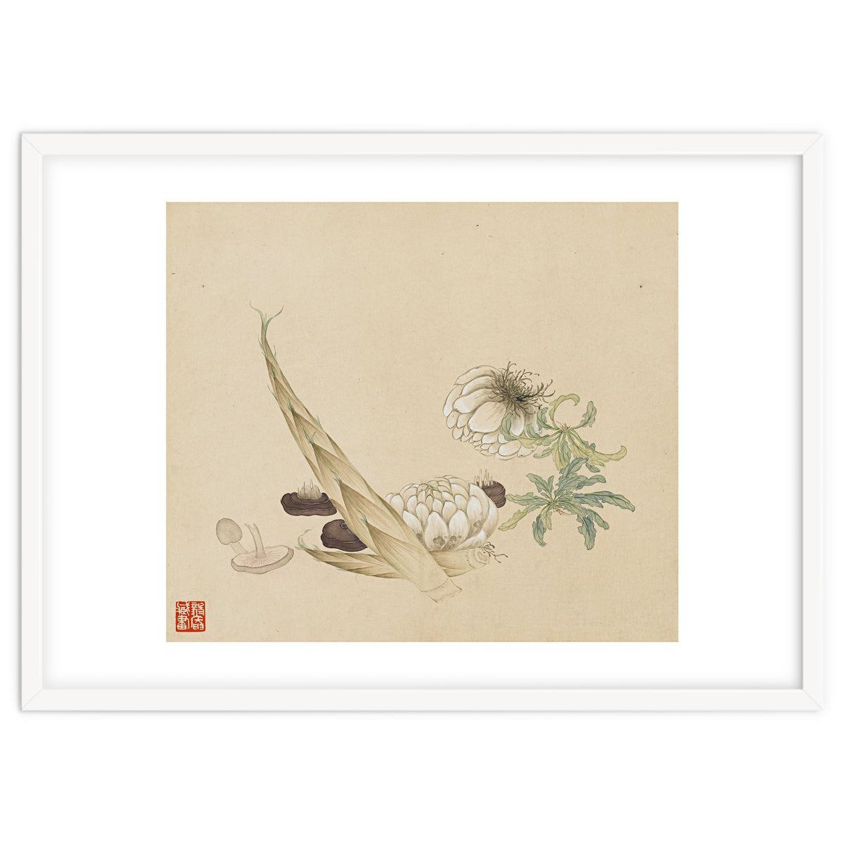 Wang Chengyu ~flowers, Vegetables, Lilies, Bamboo Shoots, Leaves, Mushrooms, Vegetables