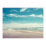 The swimmer (Print Only) thumbnail