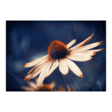 Flowers Indigo (Print Only) thumbnail