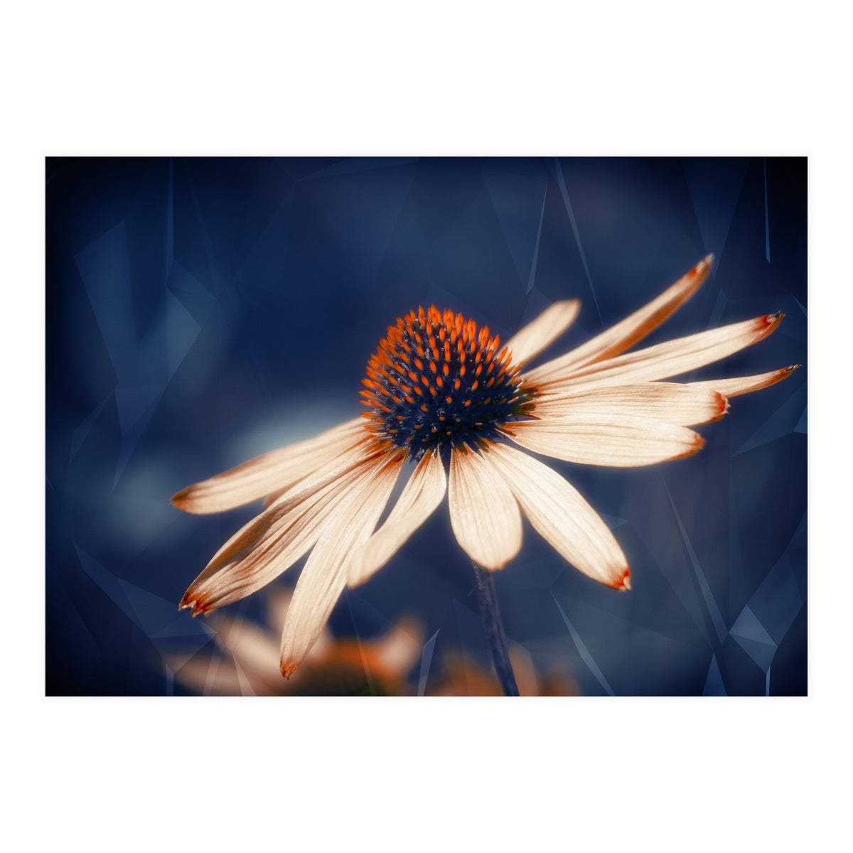 Flowers Indigo (Print Only)