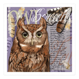Screech Owl (Print Only) thumbnail