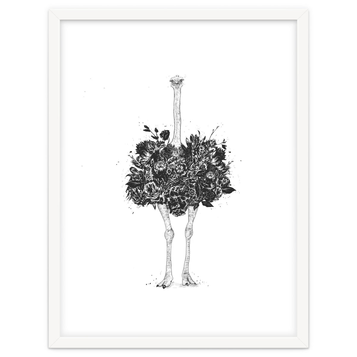 Floral Ostrich