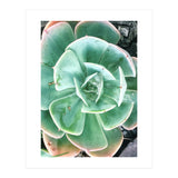 68 (Print Only) thumbnail