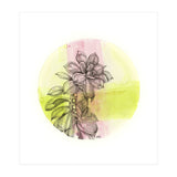 Succulent On Pink And Green (Print Only) thumbnail