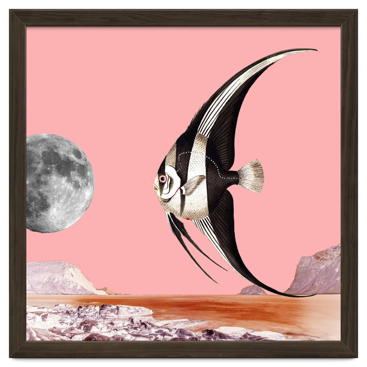 Plenty Of Fish In The Sea Pink