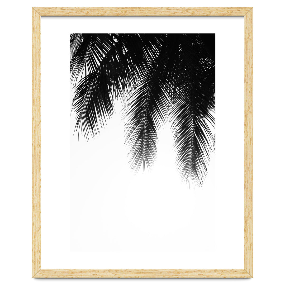 Palm leaves