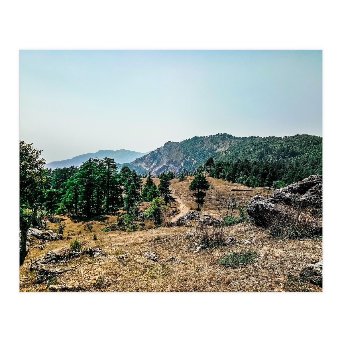 Let's Take A Walk (Print Only)