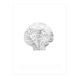 Salt&surf Scallop Waves (Print Only) thumbnail