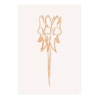 Flower 09 (Print Only)