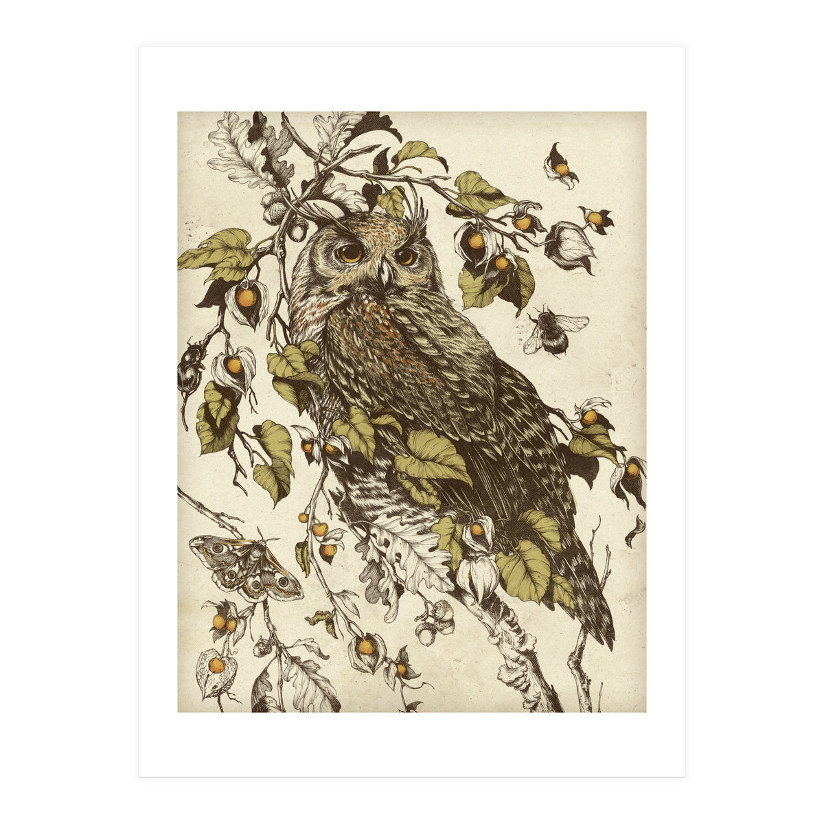 Great Horned Owl (Print Only)