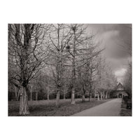 Bute Park, Cardiff (Print Only)