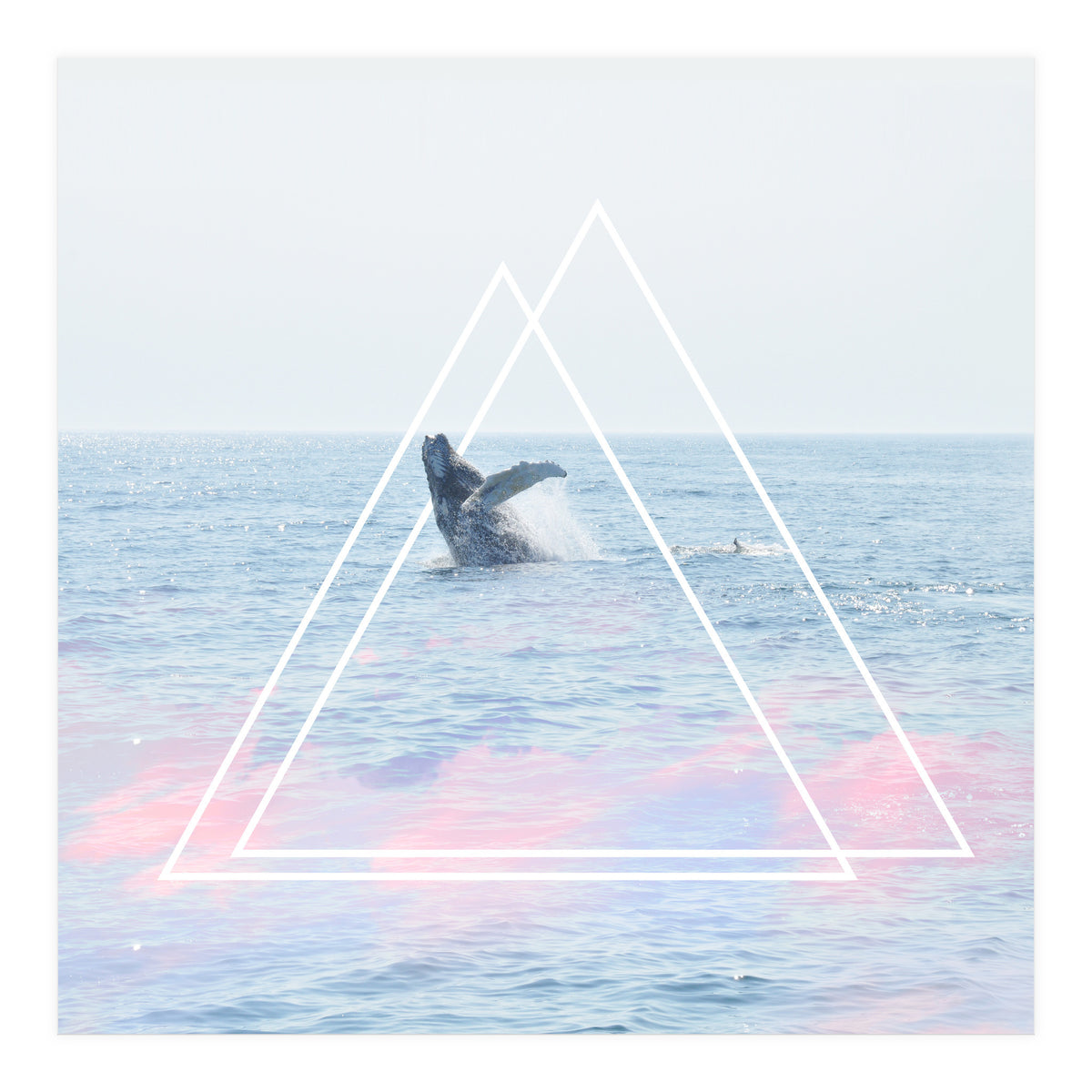 Whale of a Time (Print Only)