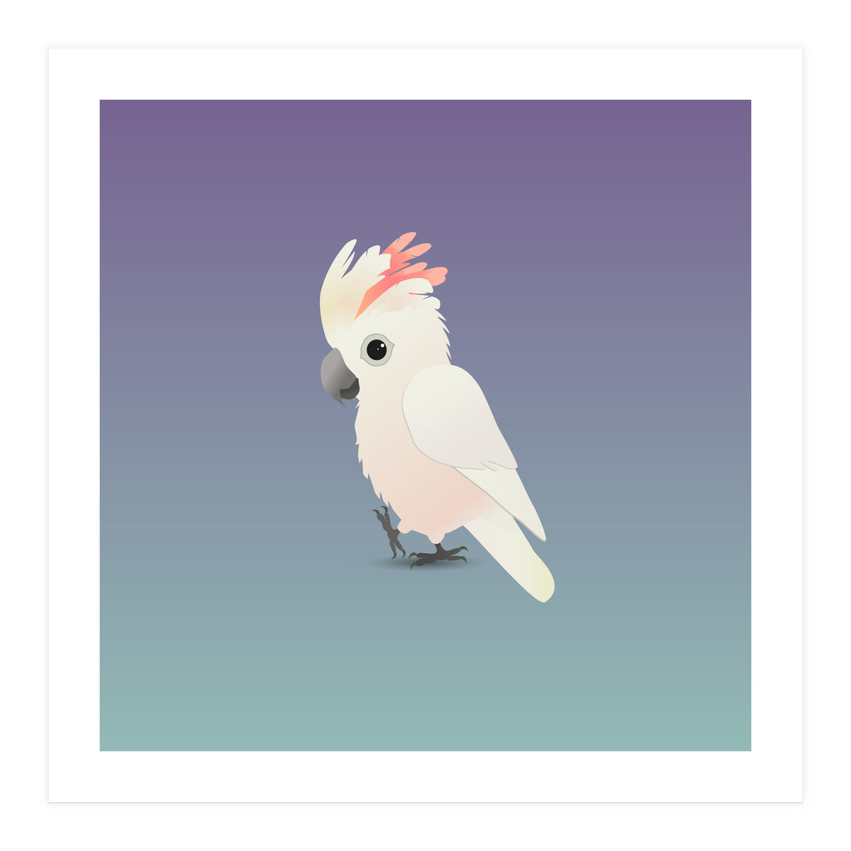 Salmon-crested cockatoo (Print Only)