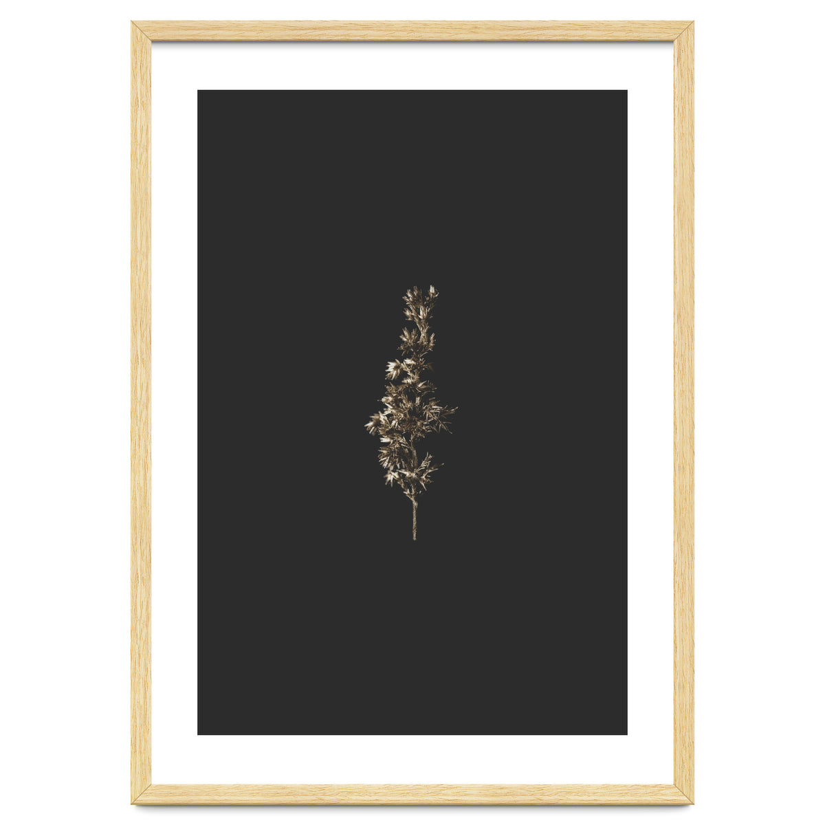Gold Rush Botanicals