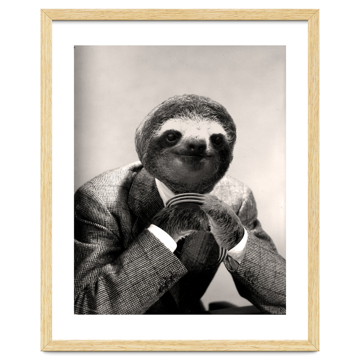 Gentleman Sloth 3