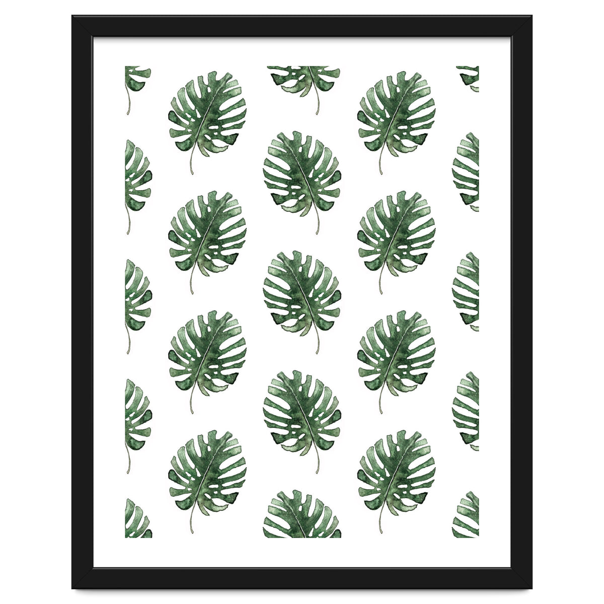 Monstera Leaves