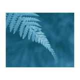 Pteridopsida 1 (Print Only) thumbnail
