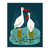 Pelicans (Print Only) thumbnail