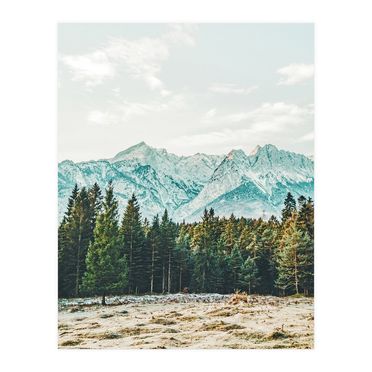 Winter Weather (Print Only)