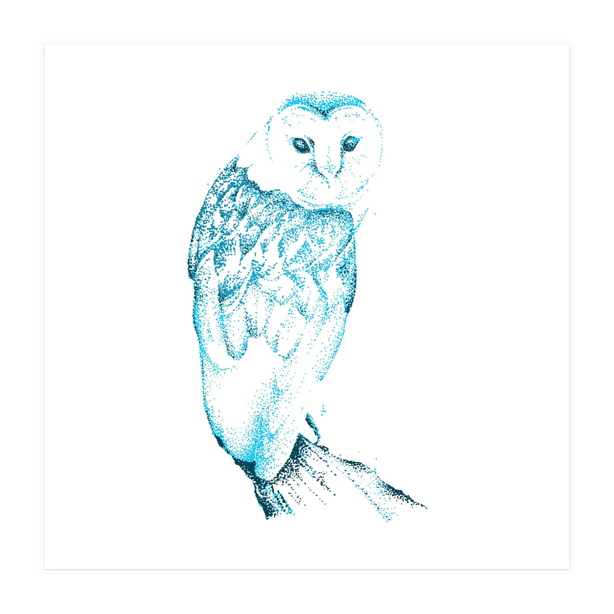 Barn Owl in Teal (Print Only)