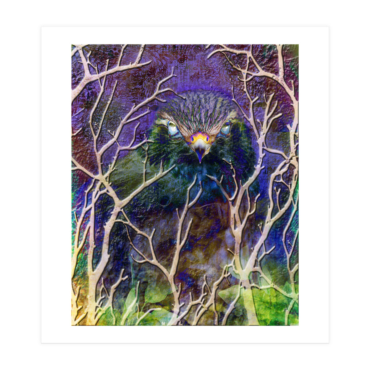 Dead Of Night (Print Only)