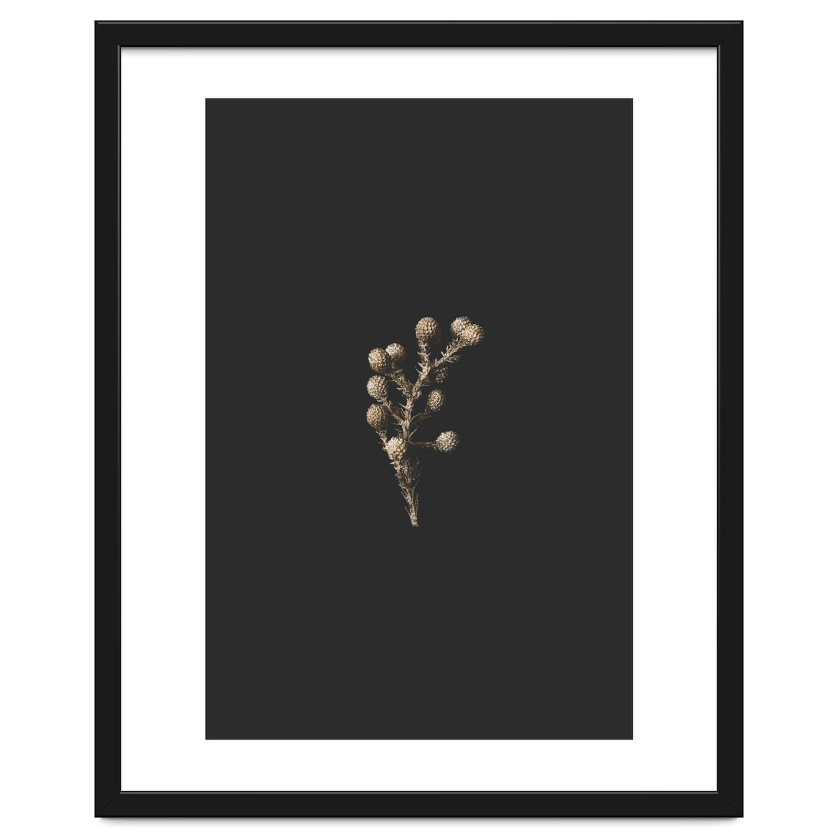 Gold Drops Botanicals