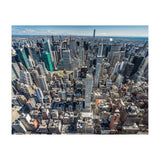 Dimensions (Print Only) thumbnail
