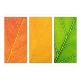 Autumn Leaves (Print Only) thumbnail