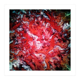 Red Navigation Light (Print Only) thumbnail