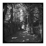 Alley to a cemetery (Print Only) thumbnail