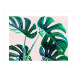 Wild Leaves (Print Only) thumbnail