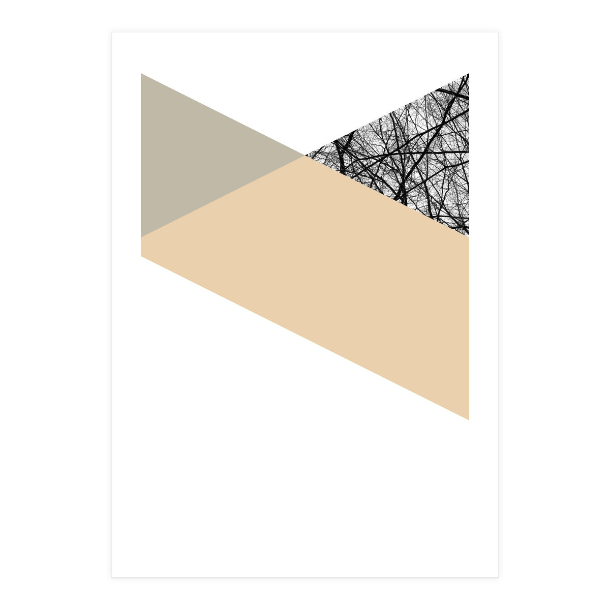 TRIWOOD IV (Print Only)