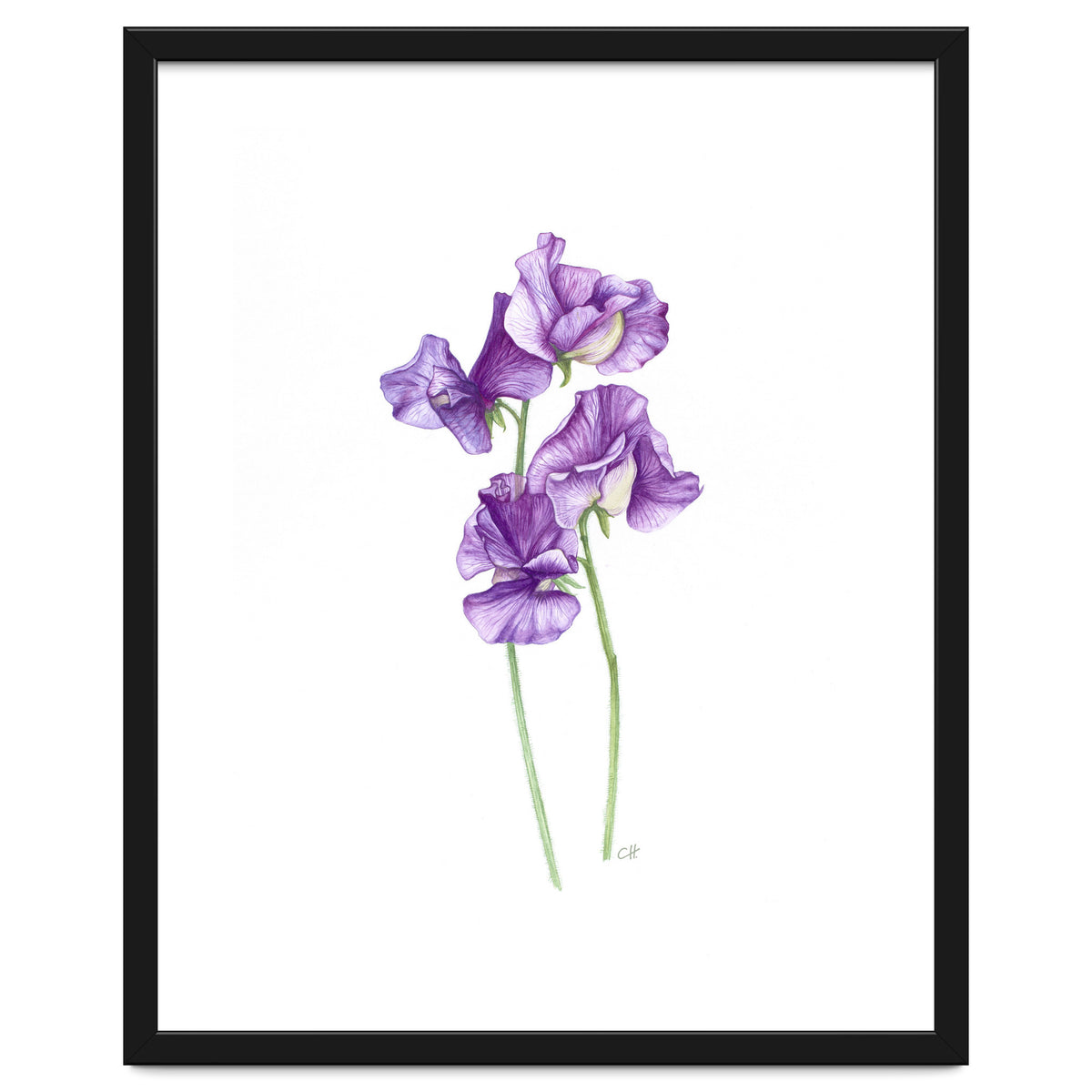 A Purple Posy Of Sweet Peas