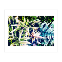 Wild Jungle (Print Only)